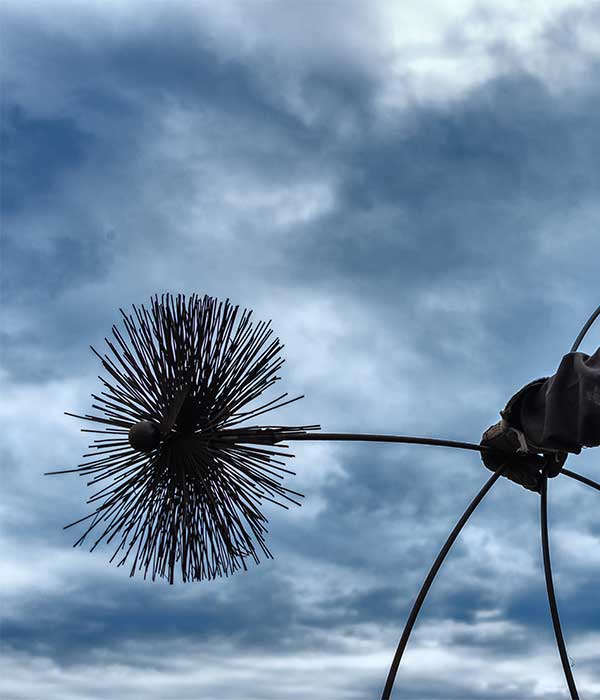 Chimney Sweeping Brush